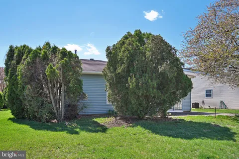 a view of a backyard with plants and a large tree