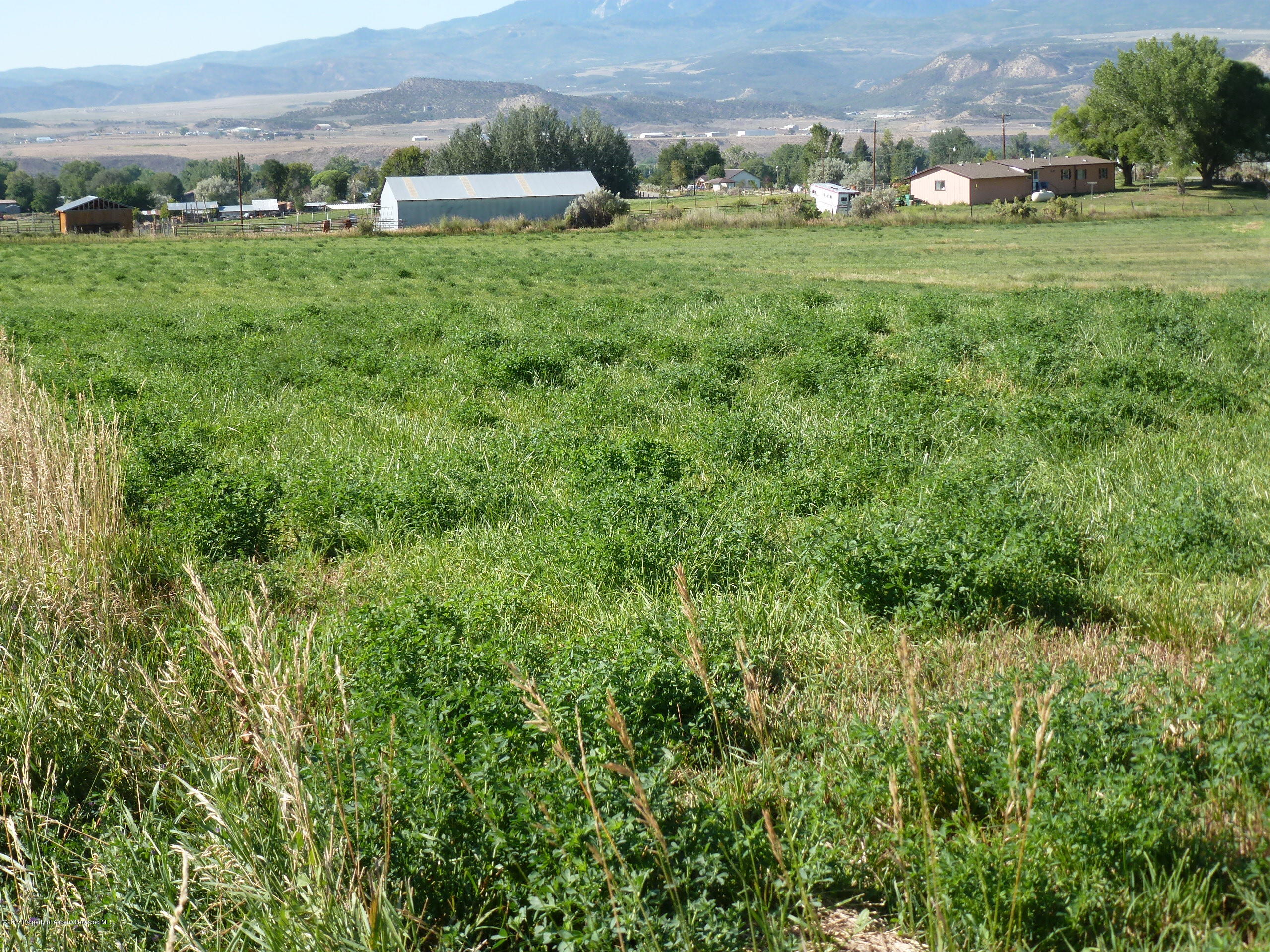 225 Rifle Co 81650 Rifle, CO 81650 - Photo 3 of 4 a view of a lush green field with lots of plants in it