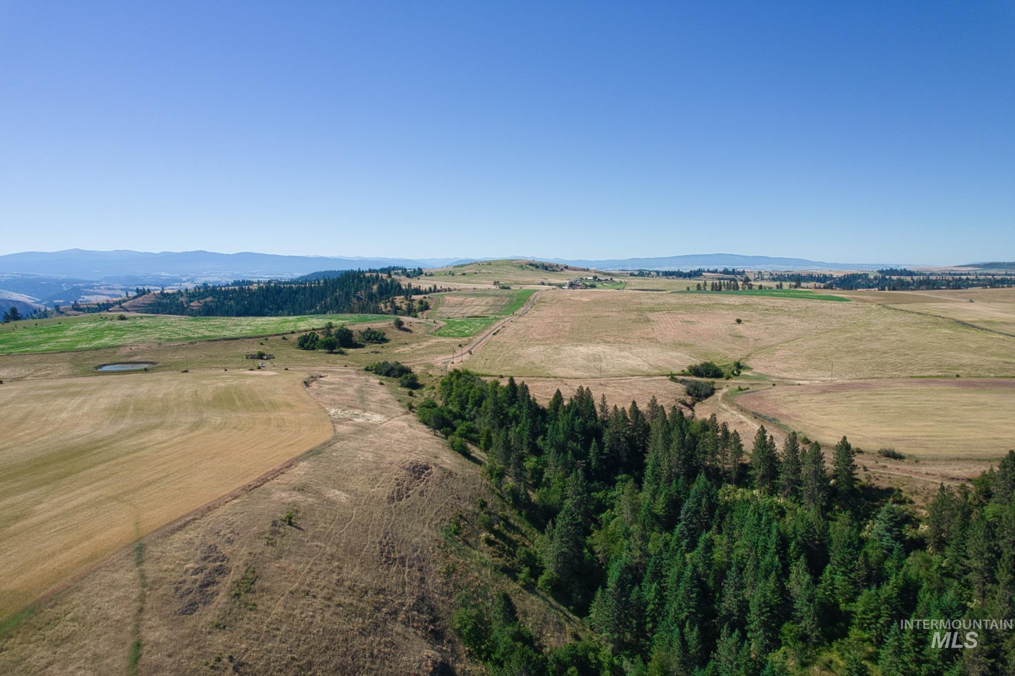 Doty Road Kamiah, ID 83536 - Photo 19 of 19