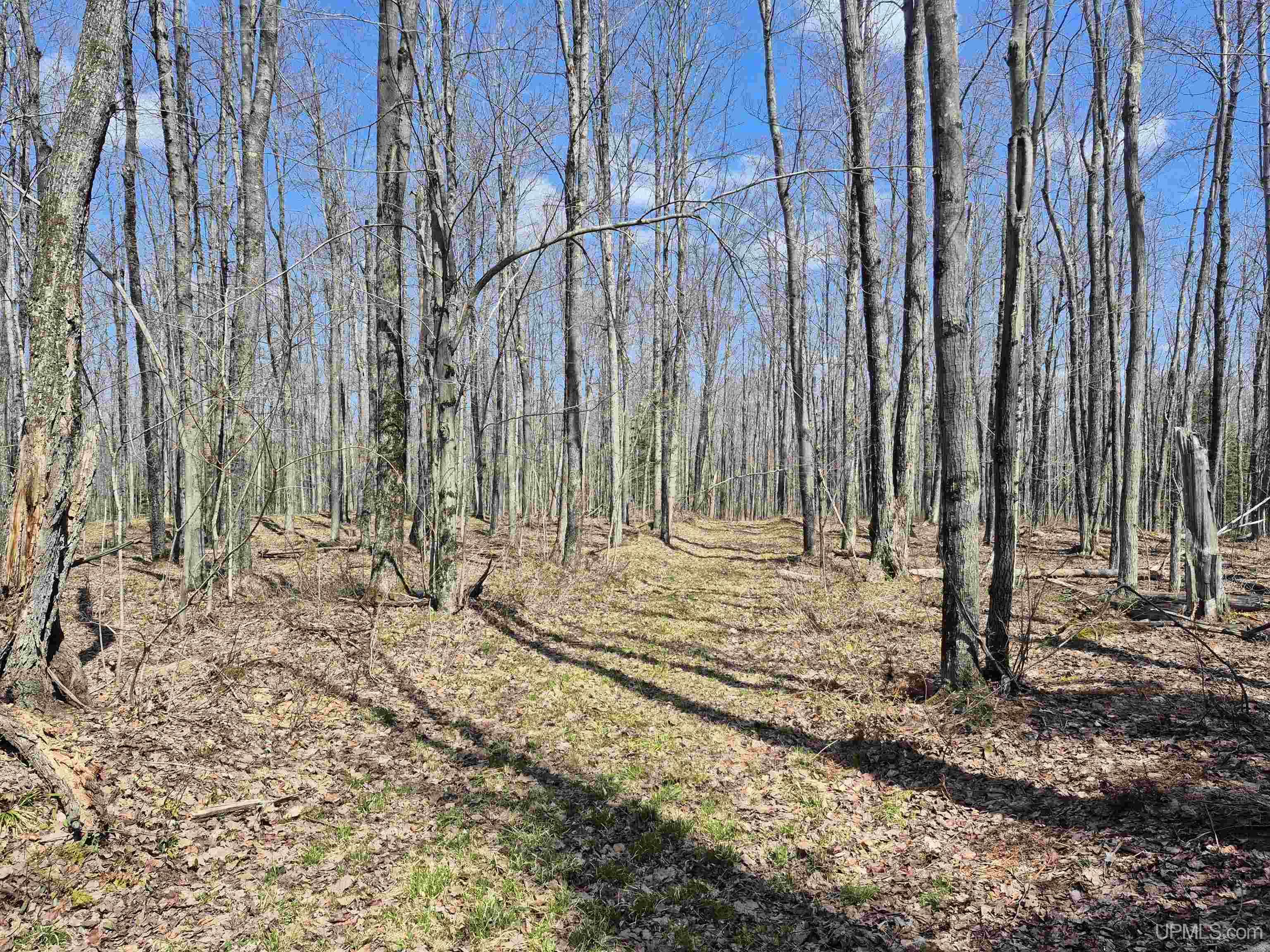 12-acres Salmon Road L'Anse, MI 49946 - Photo 13 of 39