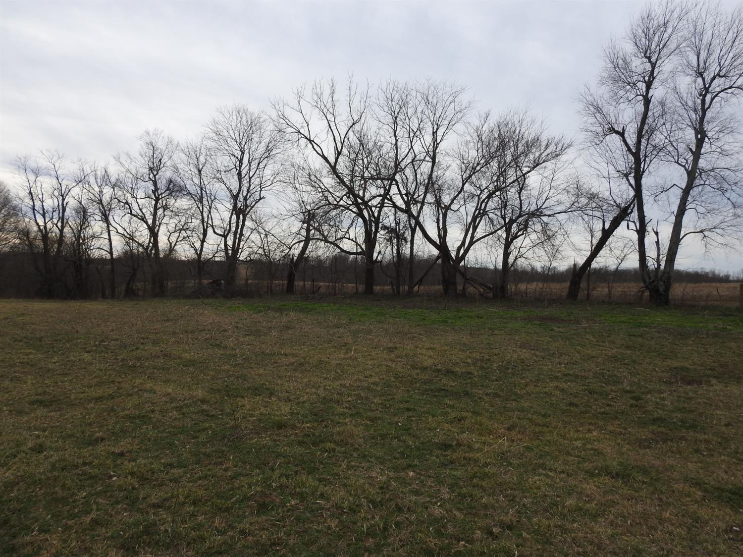 767 Jack Black Road Lancaster, KY 40444 - Photo 11 of 36 Photo 11