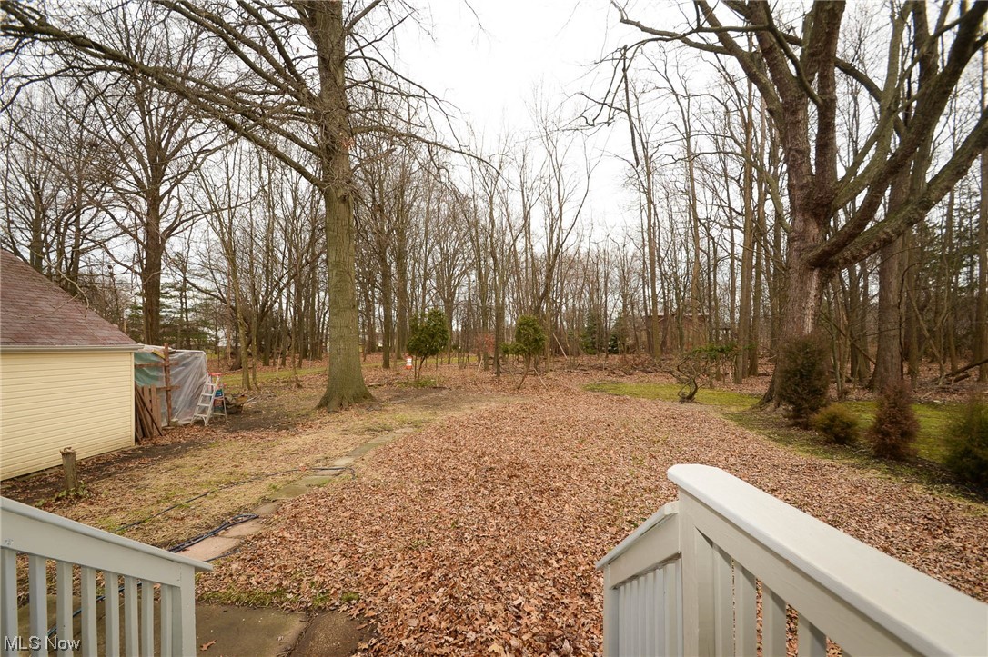 24599 Chardon Road Cleveland, OH 44143 - Photo 22 of 28 View of yard