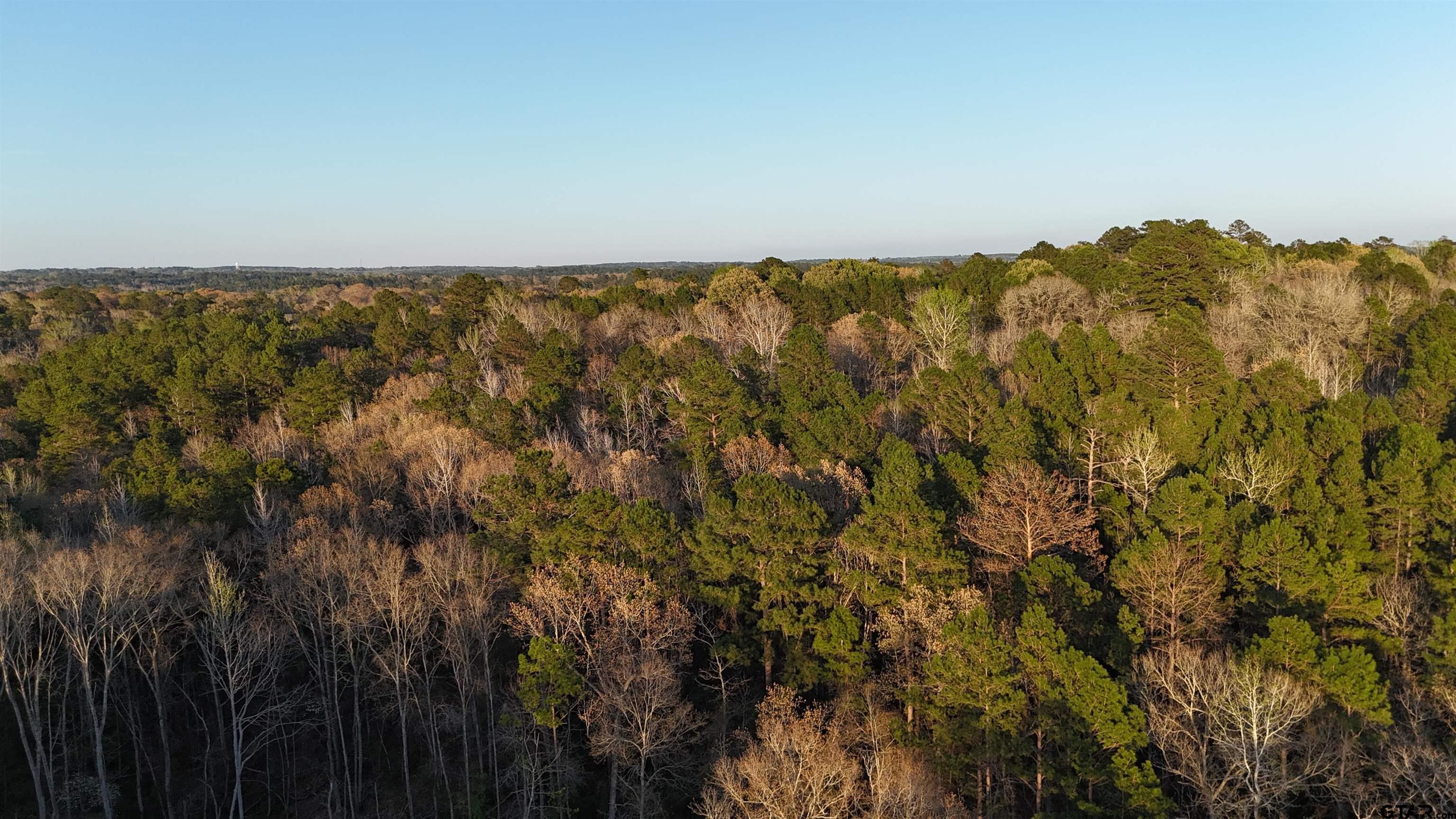 0 Fm 137 Elkhart, TX 75839 - Photo 1 of 13 a view of an ocean