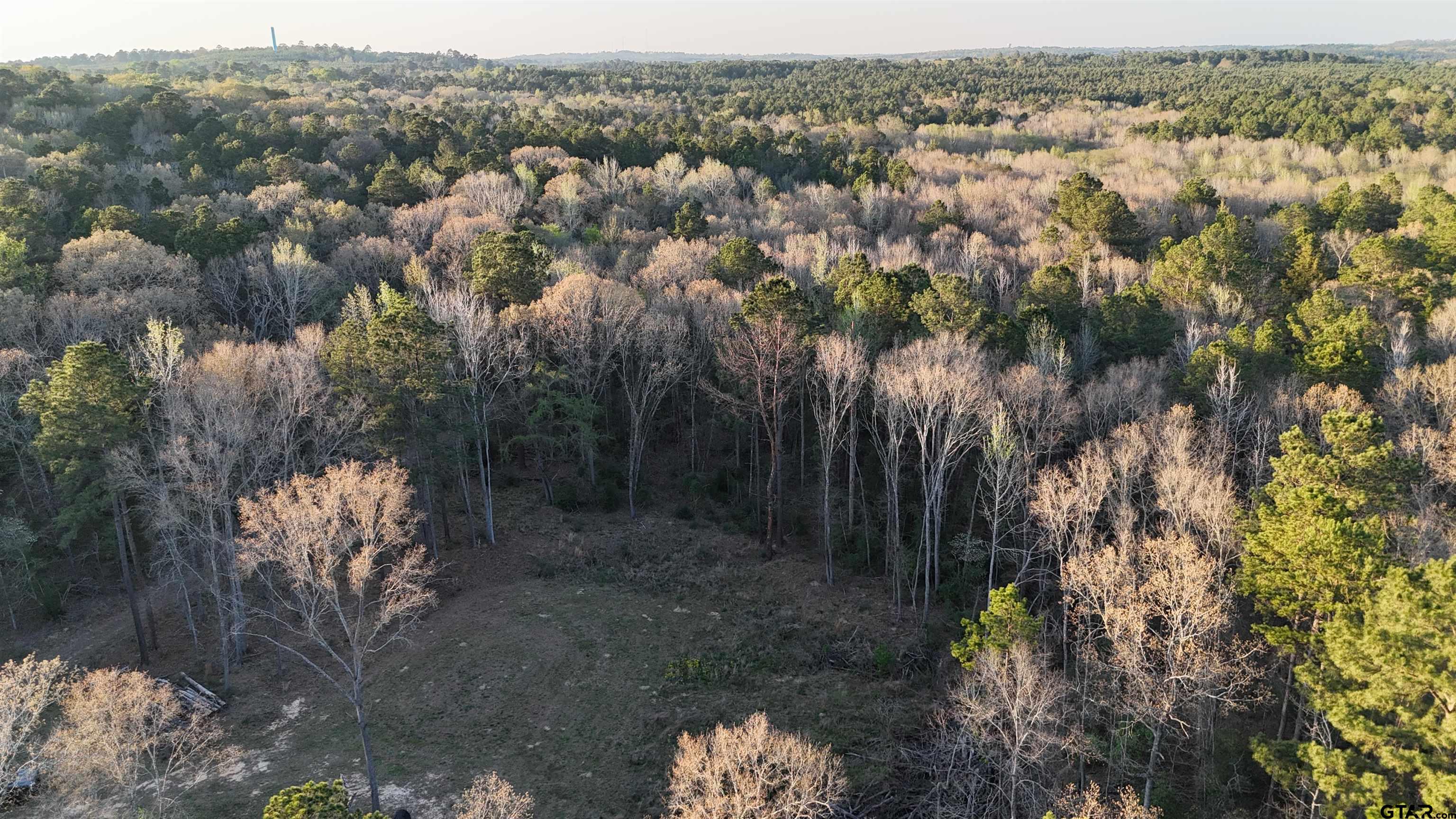 0 Fm 137 Elkhart, TX 75839 - Photo 2 of 13 a view of a forest with a street