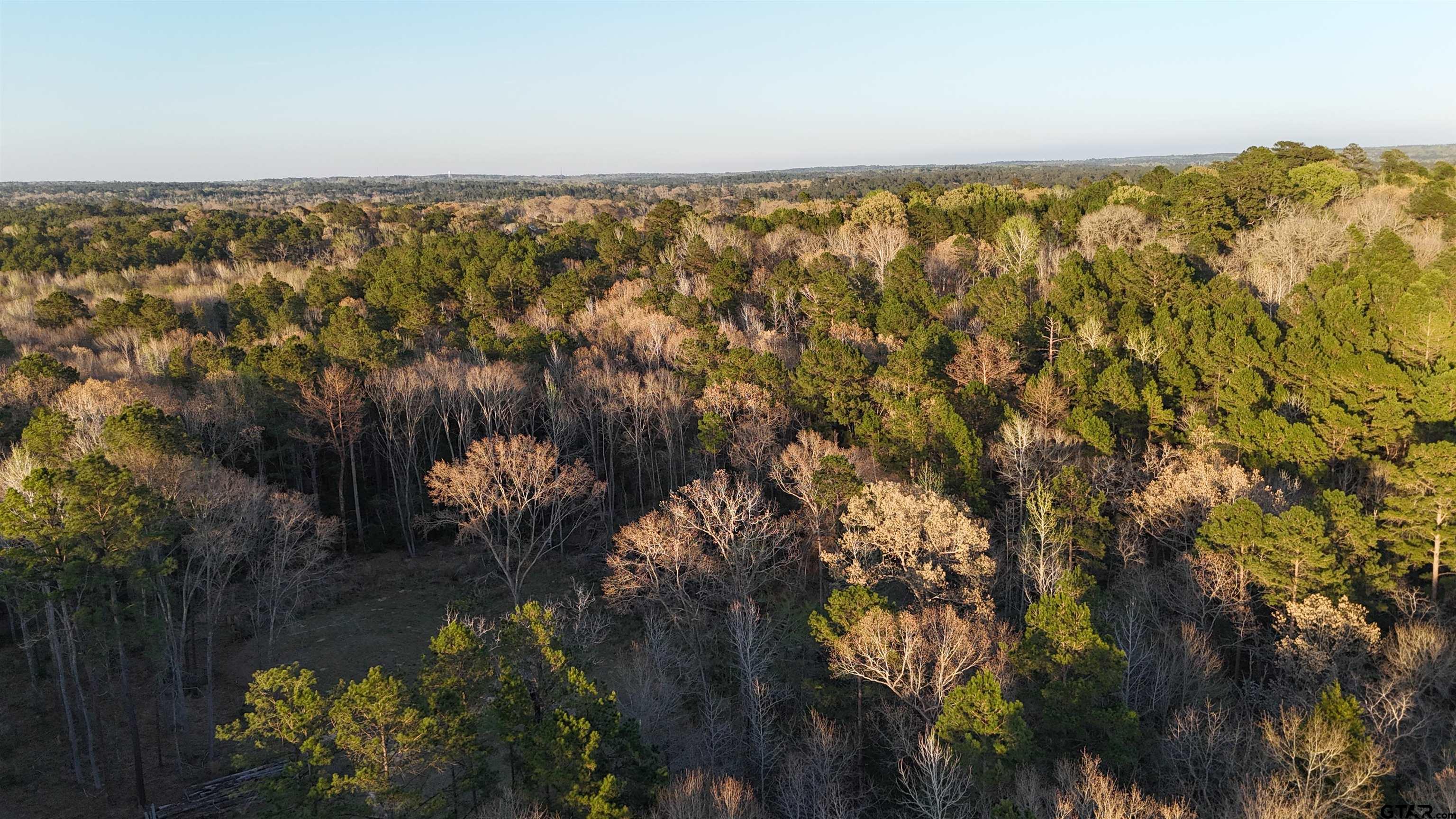 0 Fm 137 Elkhart, TX 75839 - Photo 5 of 13 a view of lake and mountain