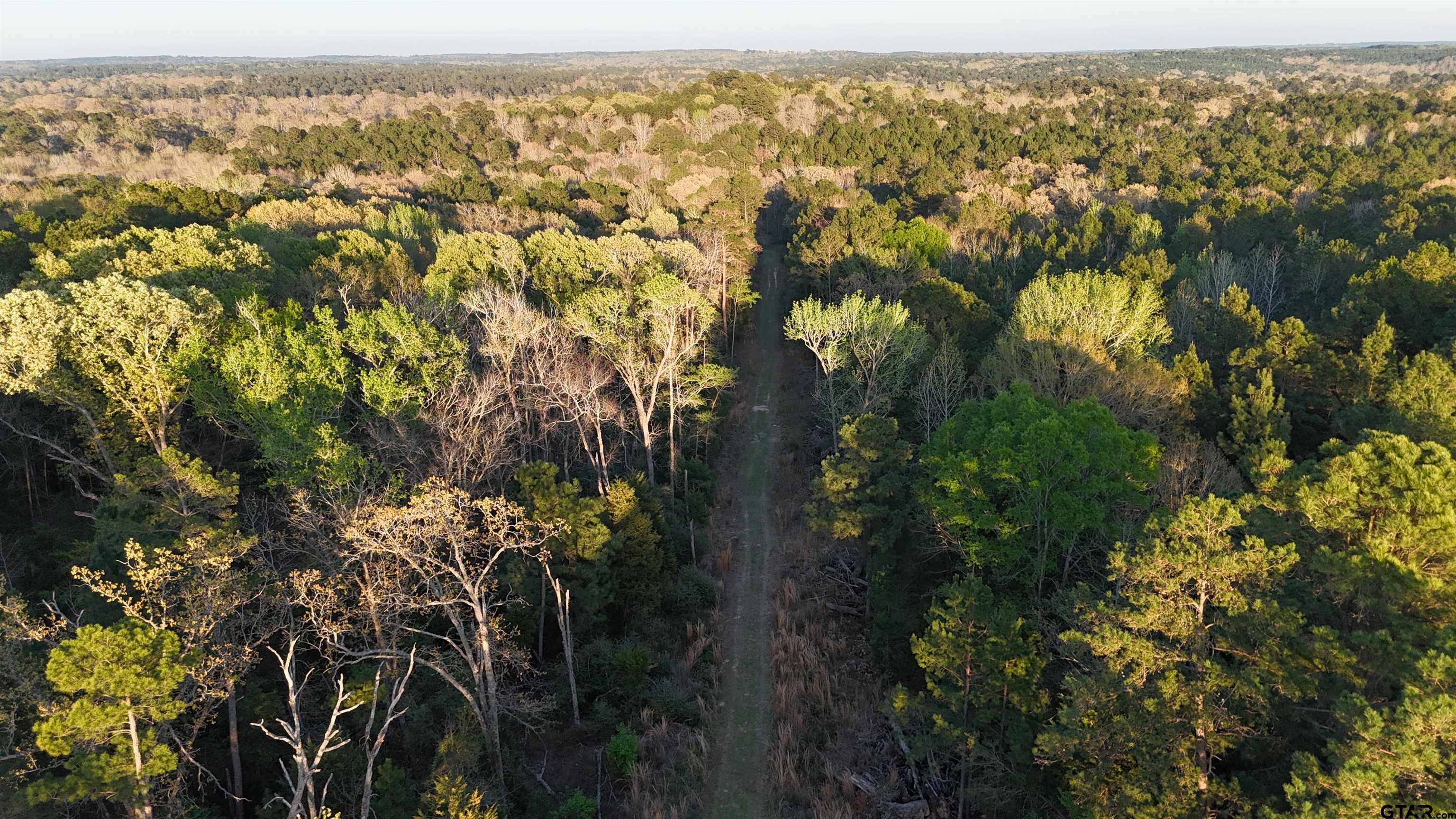 0 Fm 137 Elkhart, TX 75839 - Photo 6 of 13 an aerial view of residential houses with outdoor space and trees