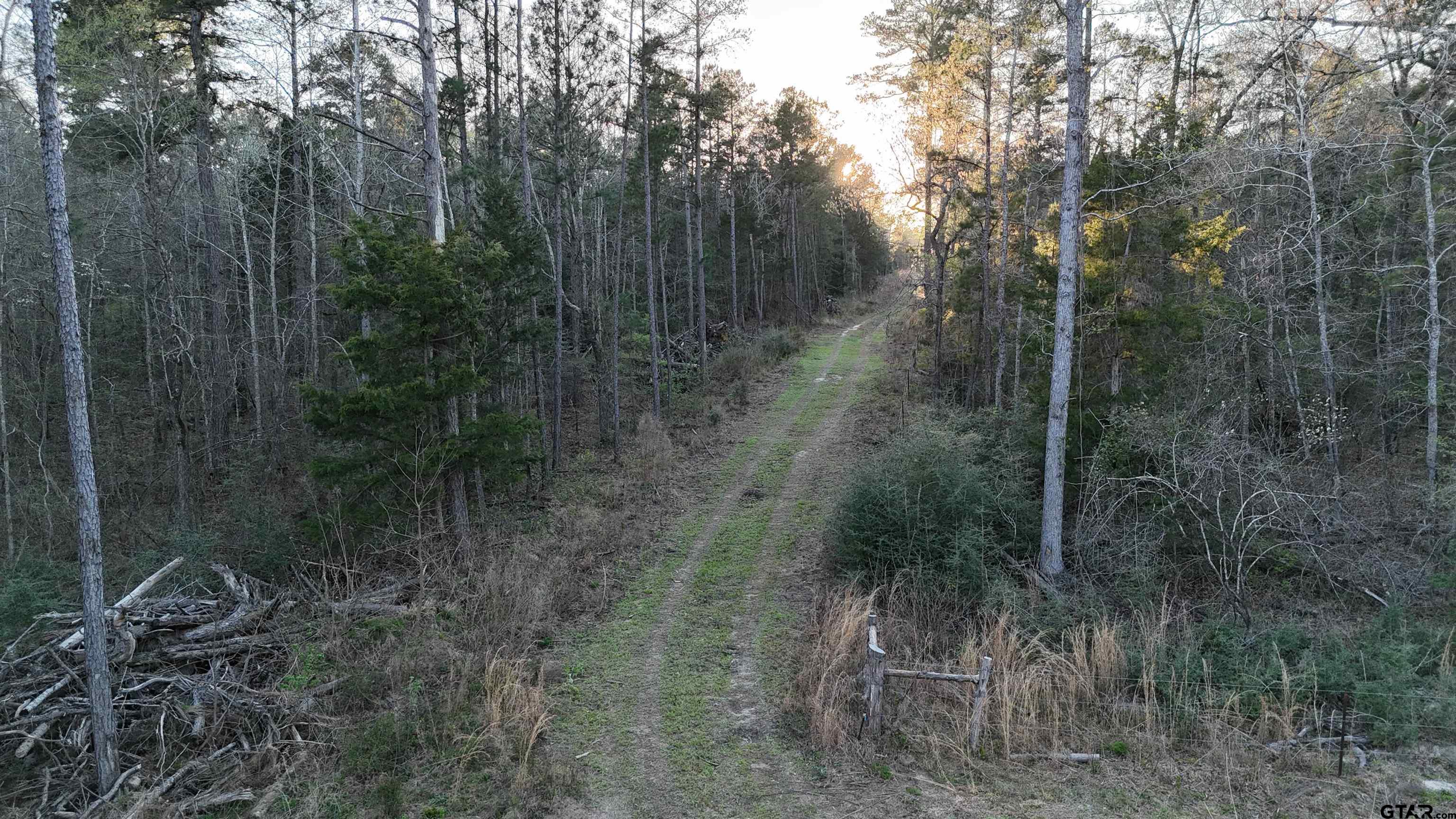 0 Fm 137 Elkhart, TX 75839 - Photo 8 of 13 a view of a forest with a trees