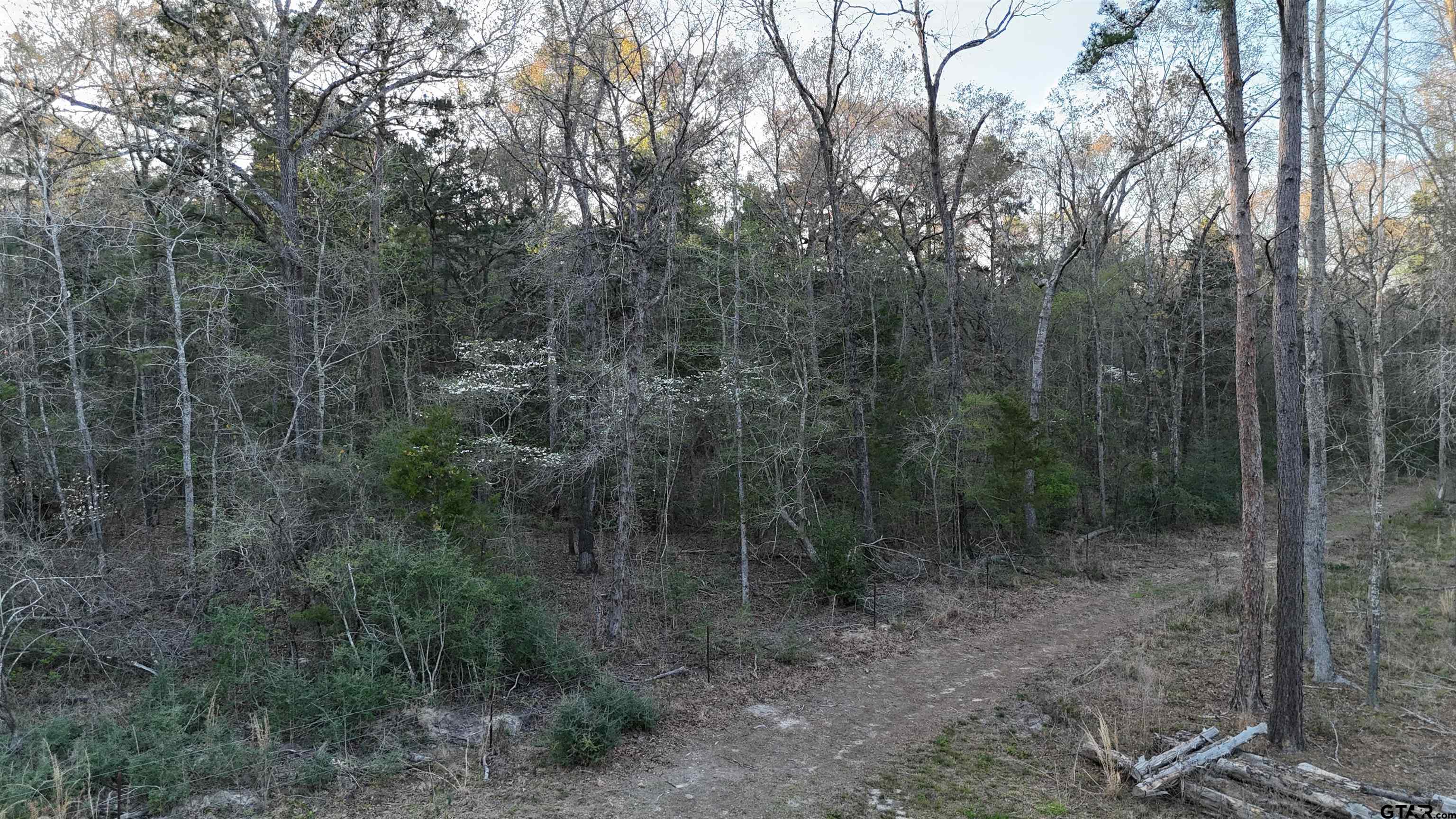 0 Fm 137 Elkhart, TX 75839 - Photo 9 of 13 a view of a forest with trees in the background