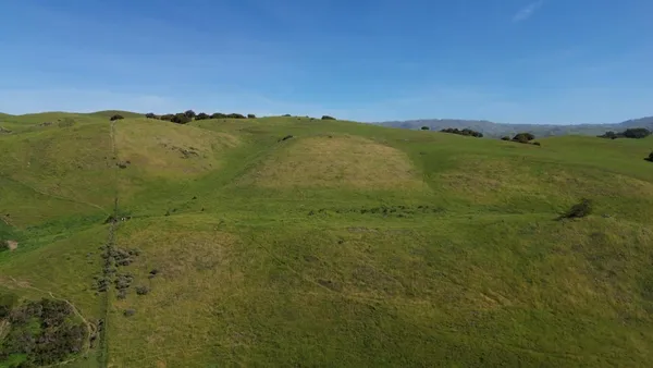 a view of a field with an ocean