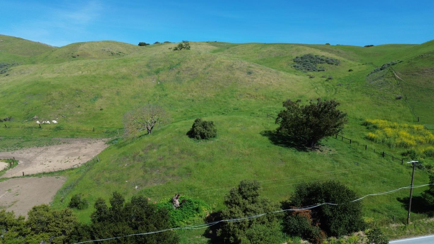 3463 Calaveras Road Milpitas, CA 95035 - Photo 7 of 15 a view of a yard with a tree