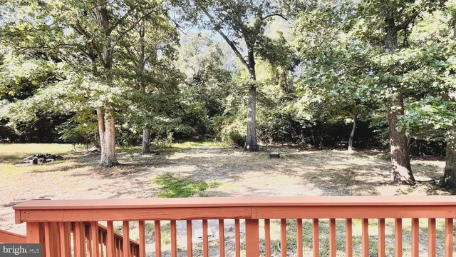 a view of a yard with trees