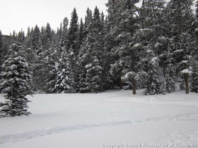 108 Guller Road, Unit A5 Frisco, CO 80443 - Photo 22 of 25 Other. Ten Mile Haus property backs to National Forest Service land. This is a true ski in / ski out / hike in / hike out location!