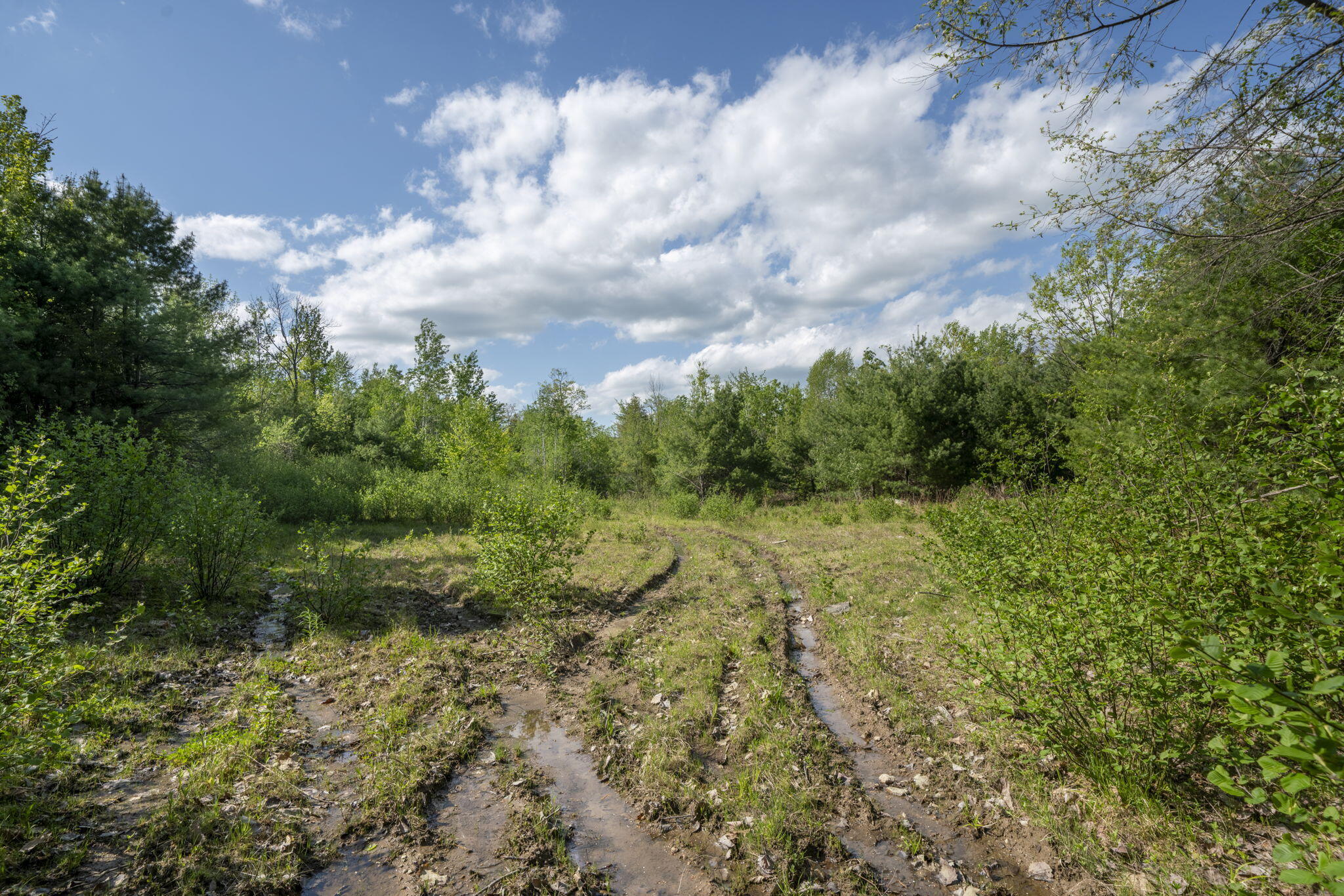 56 Burnham Road Limerick, ME 04048 - Photo 5 of 15 55 Burnham-2