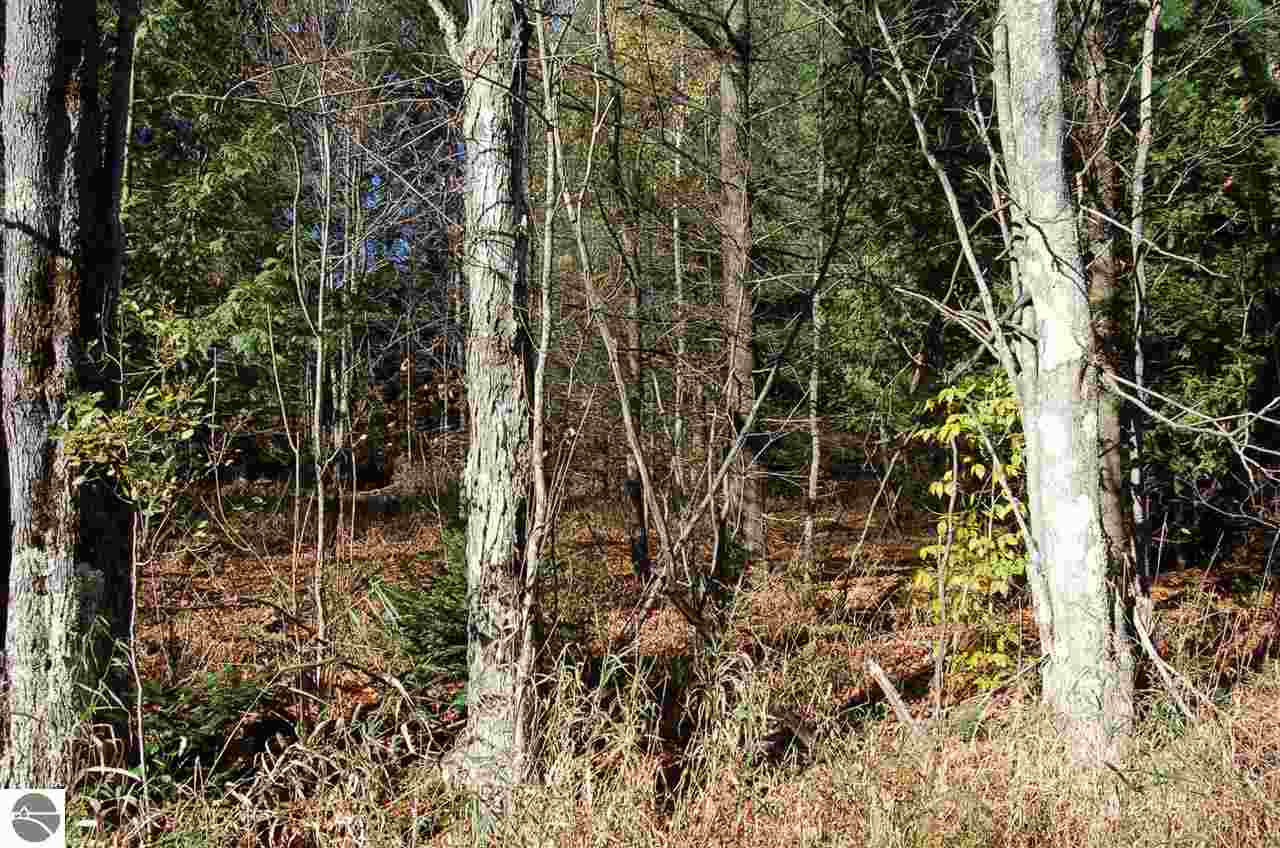 0 North Dundas Rd Rapid Alden, MI 49612 - Photo 10 of 12