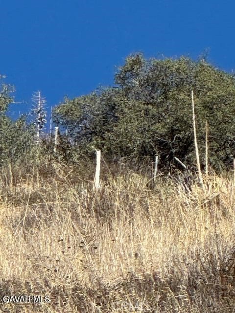 4700 Shannon View Road Acton, CA 93510 - Photo 3 of 14