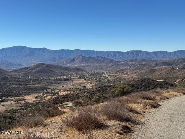 4700 Shannon View Road Acton, CA 93510 - Photo 5 of 14