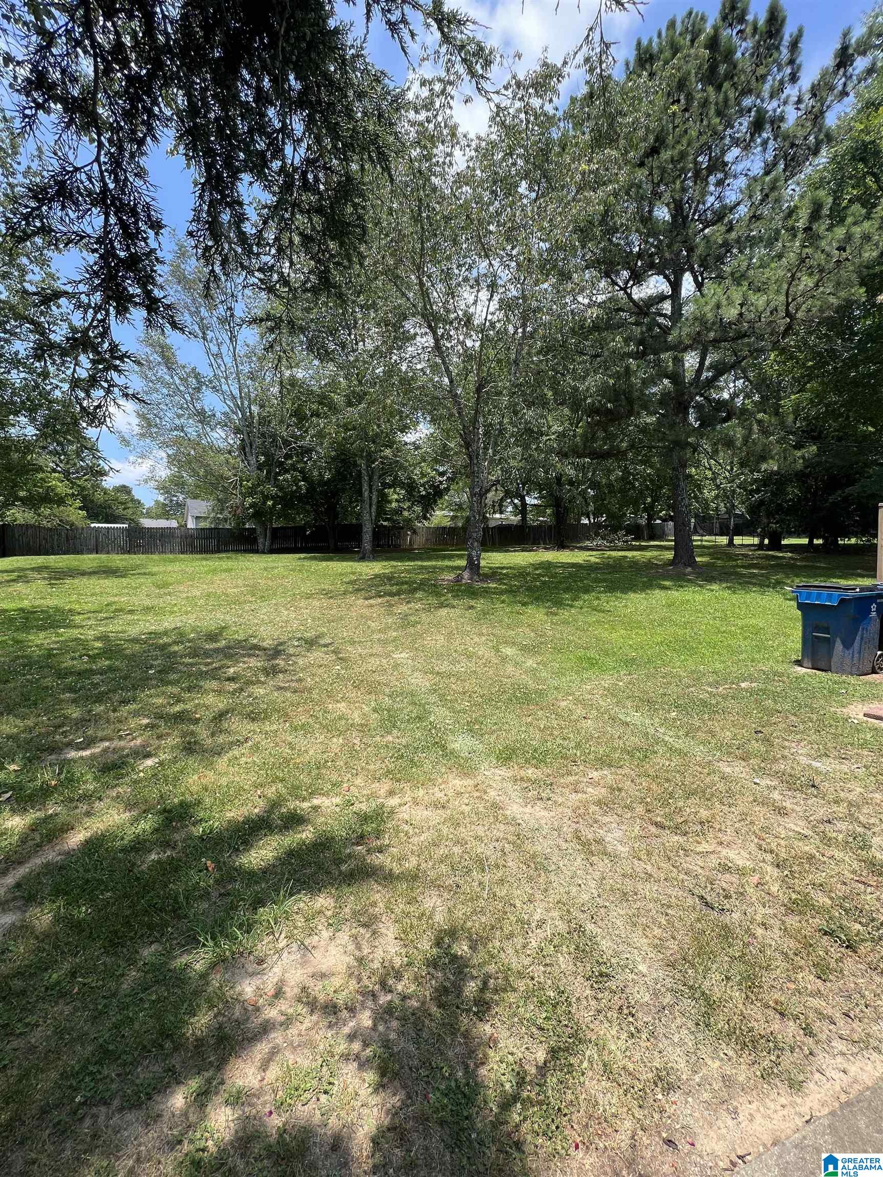 317 Wet Cat Road Hayden, AL 35079 - Photo 3 of 21