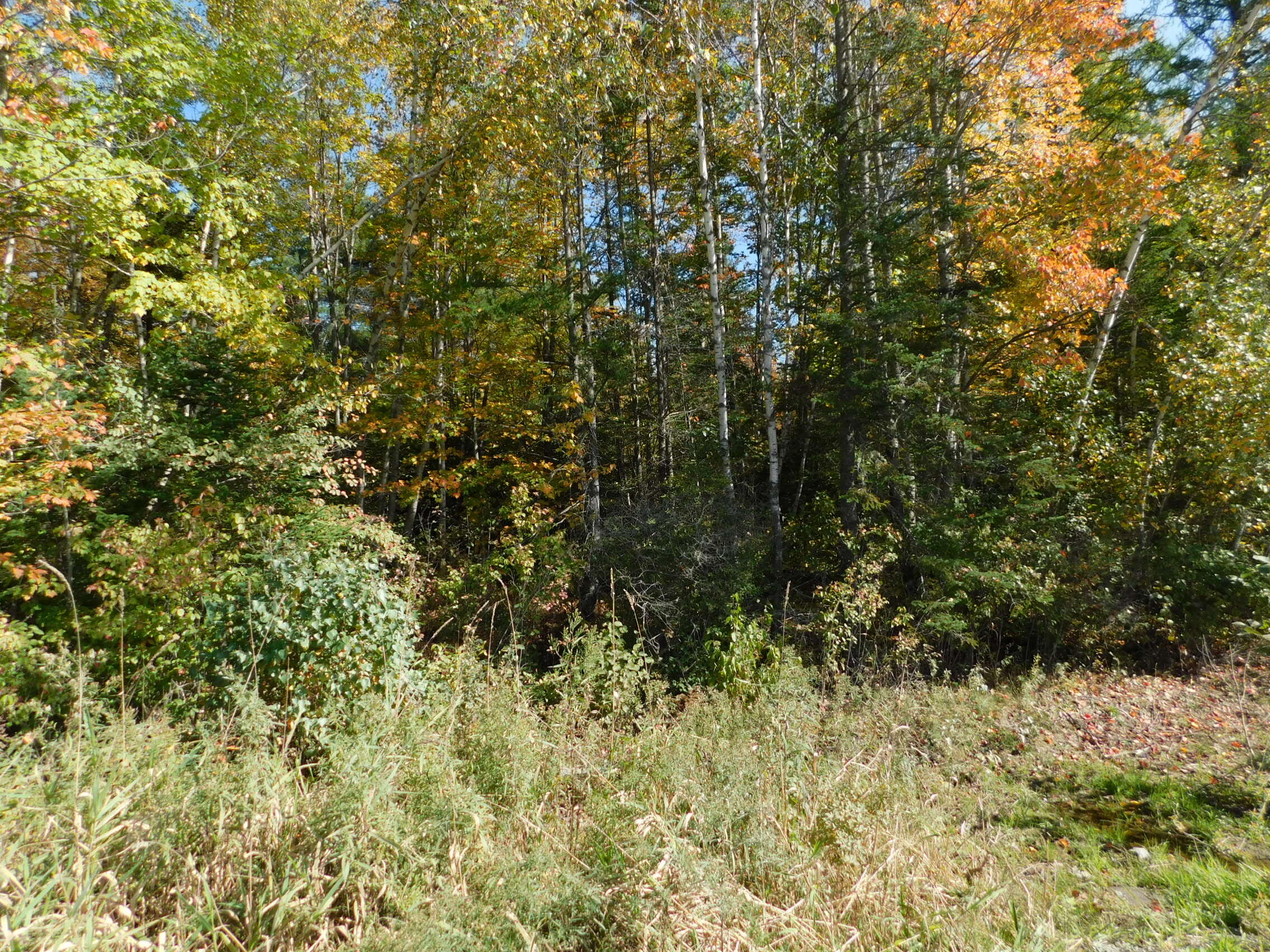 0 Steam Mill Road, Unit LOT 2 Cornville, ME 04976 - Photo 3 of 6 DSCN1536