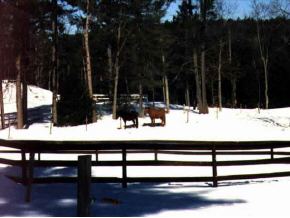 64 C Hayes Road Alton, NH 03809 - Photo 2 of 8 Gallery Image 2