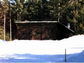 64 C Hayes Road Alton, NH 03809 - Photo 3 of 8 Gallery Image 3