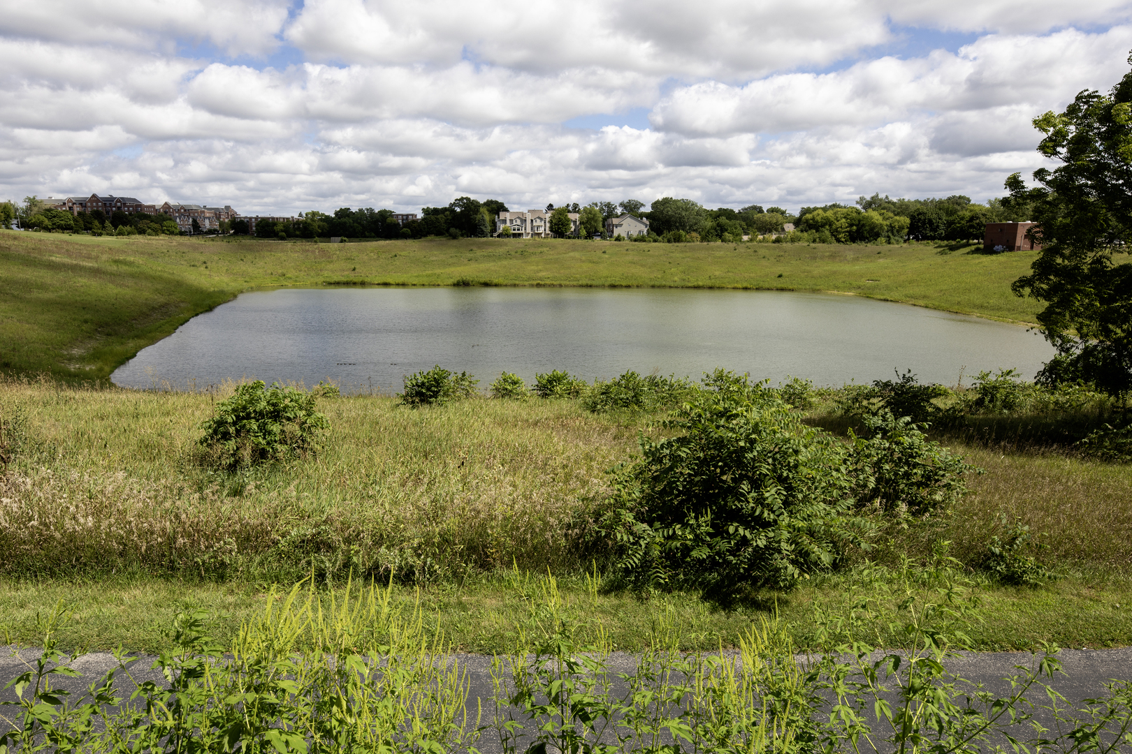 77 North Quentin Road, Unit 414 Palatine, IL 60067 - Photo 15 of 16 a view of a lake with houses in the back