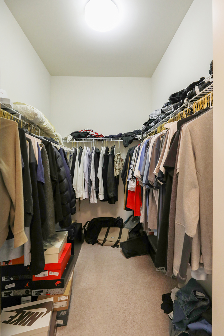 77 North Quentin Road, Unit 414 Palatine, IL 60067 - Photo 7 of 16 a view of walk in closet with clothes and shoes