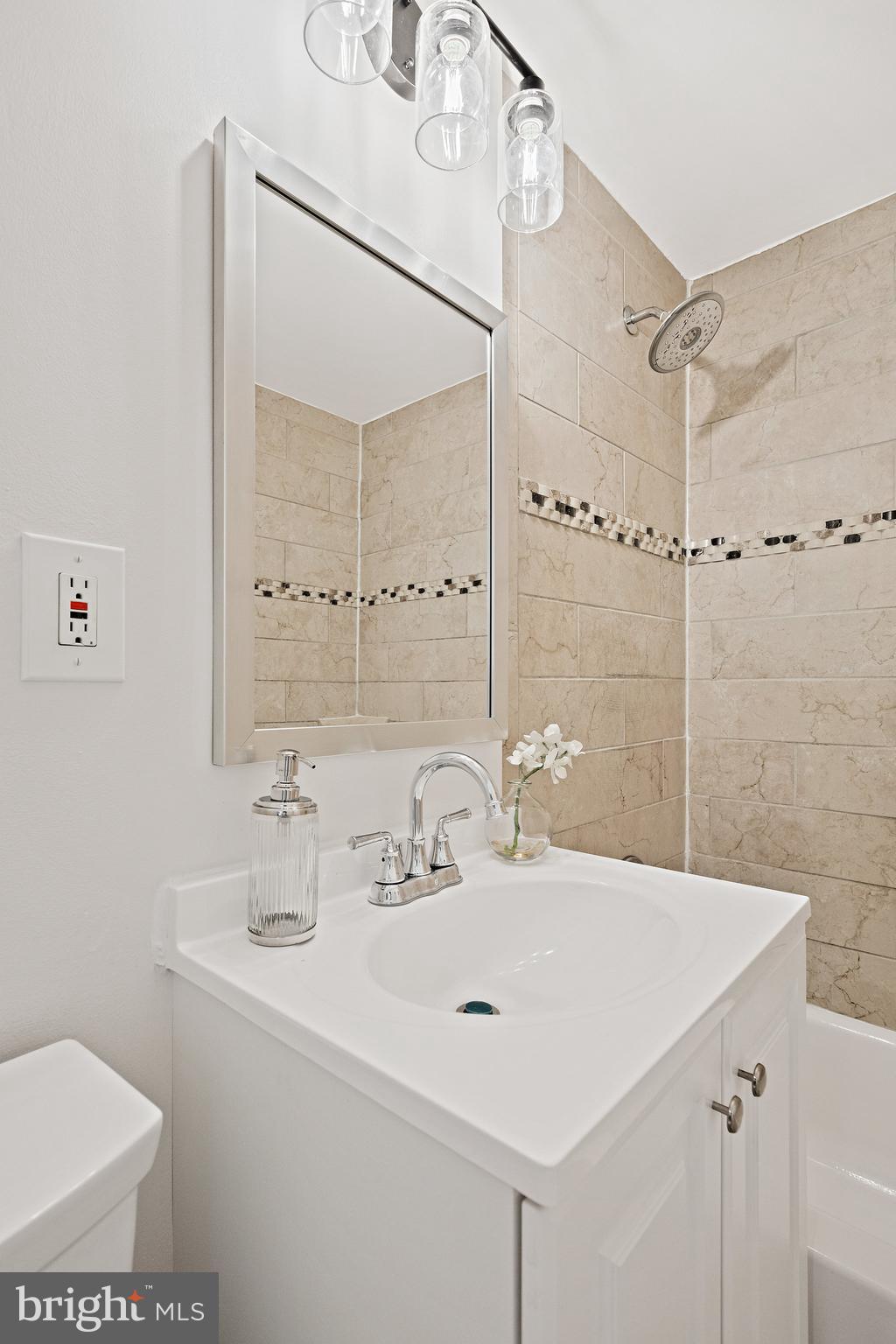 6510 Blacklog Street Capitol Heights, MD 20743 - Photo 24 of 63 Main Bathroom