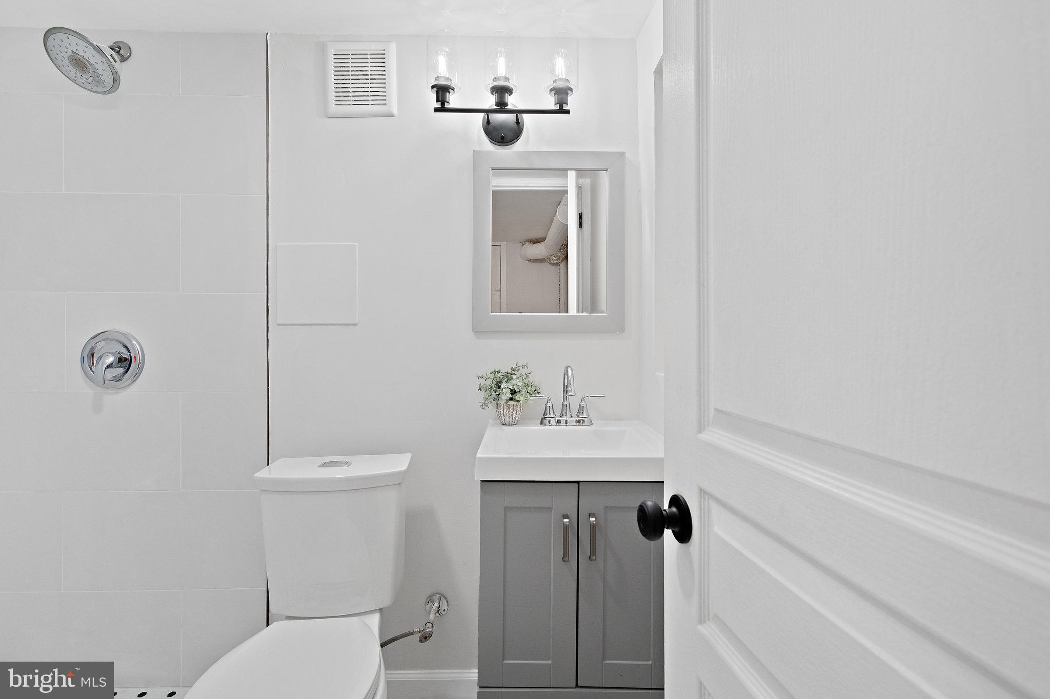 6510 Blacklog Street Capitol Heights, MD 20743 - Photo 47 of 63 Modern Basement Bathroom