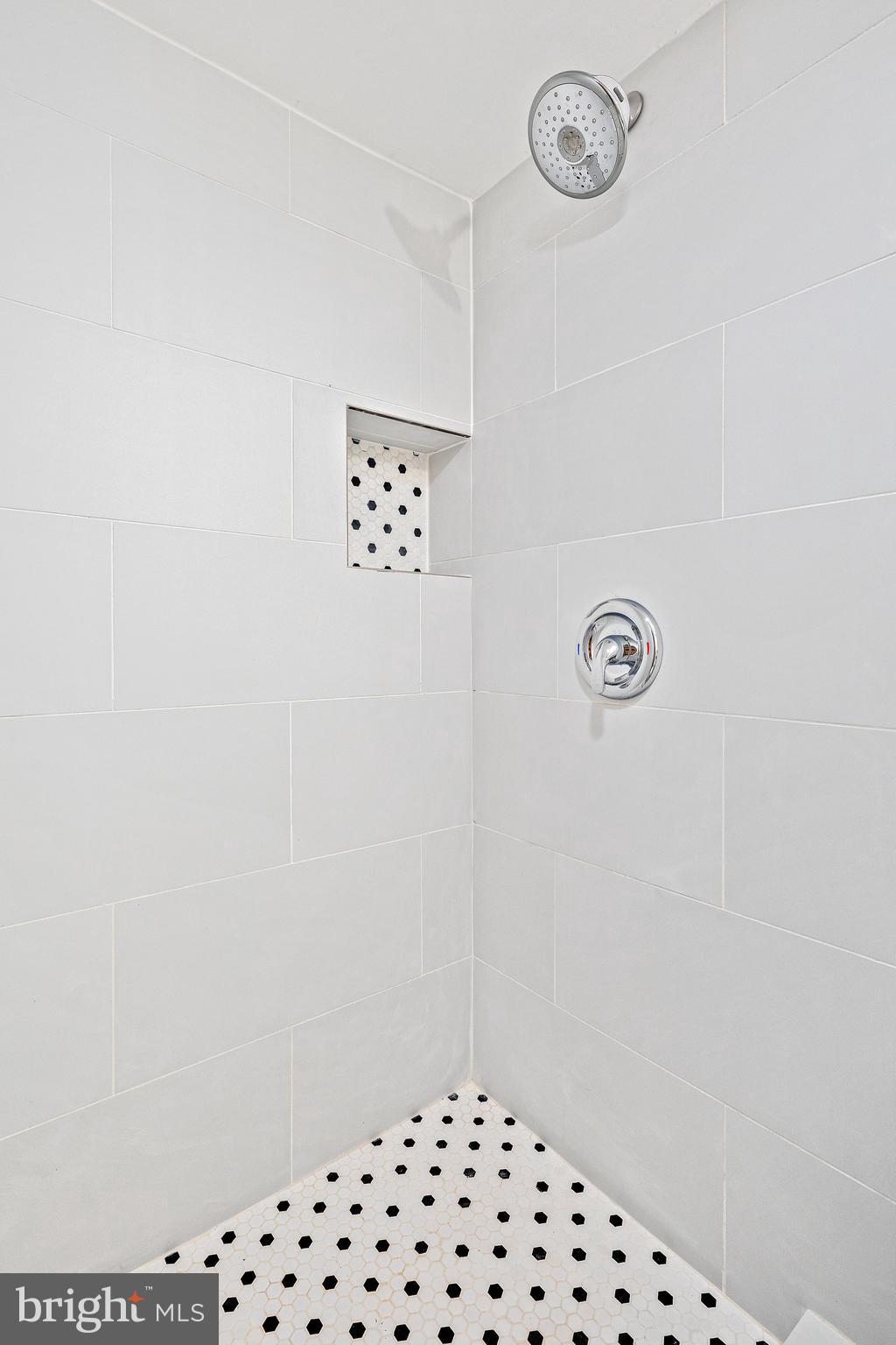 6510 Blacklog Street Capitol Heights, MD 20743 - Photo 49 of 63 Tiled Shoer