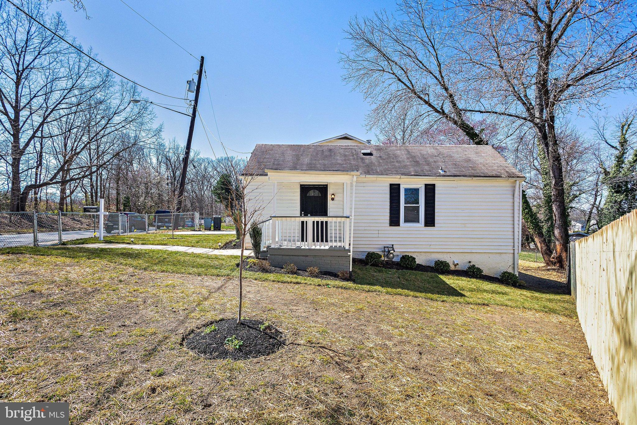6510 Blacklog Street Capitol Heights, MD 20743 - Photo 59 of 63 New Tree planted