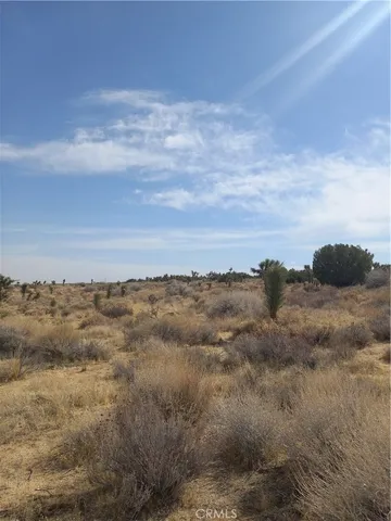 a view of a dry yard with wooden fence