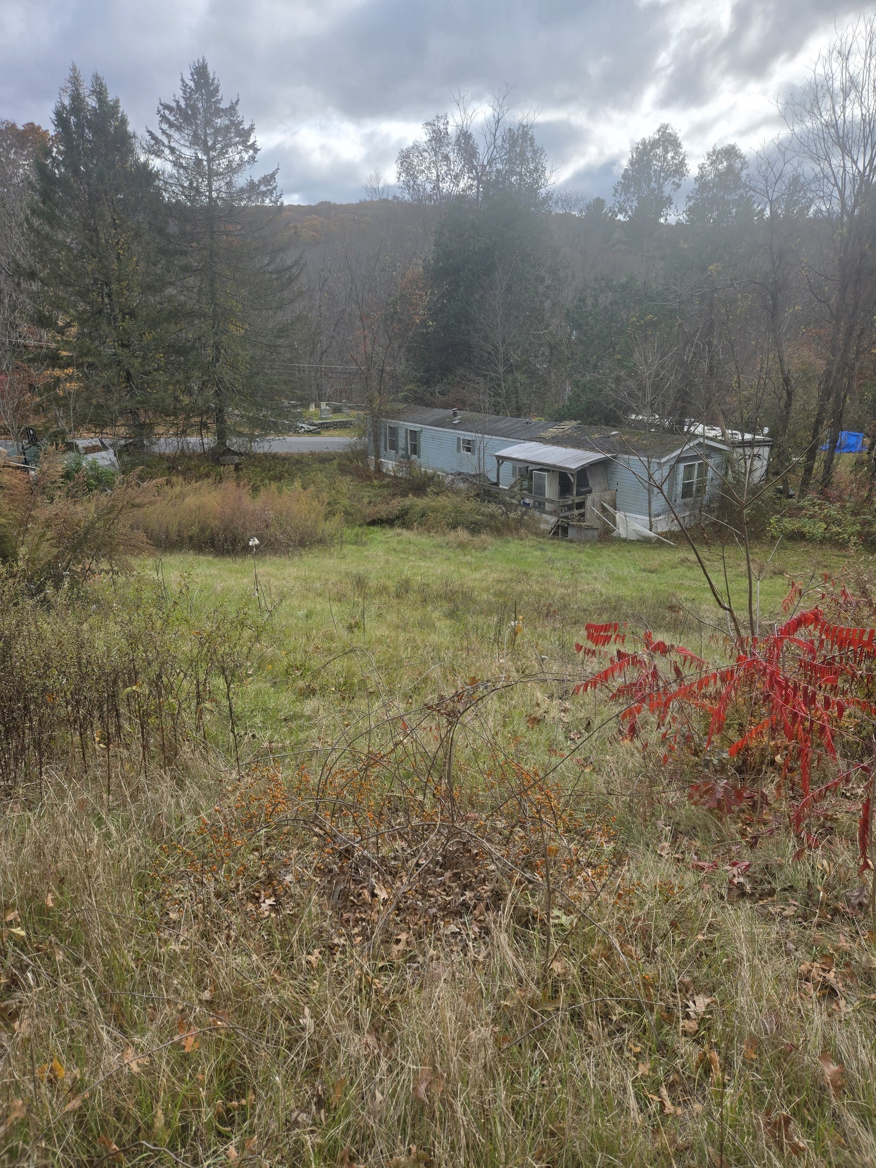 29 General Lyon Road Eastford, CT 06242 - Photo 6 of 9 a view of swimming pool with a yard