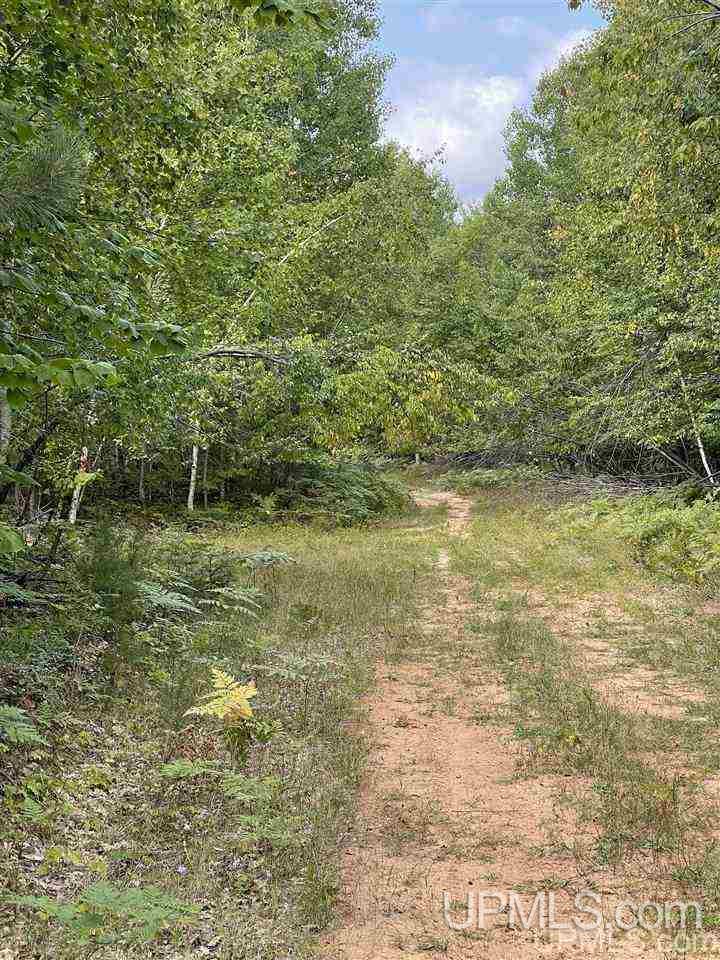 Tbd Timber Creek Road Marquette, MI 49855 - Photo 1 of 14