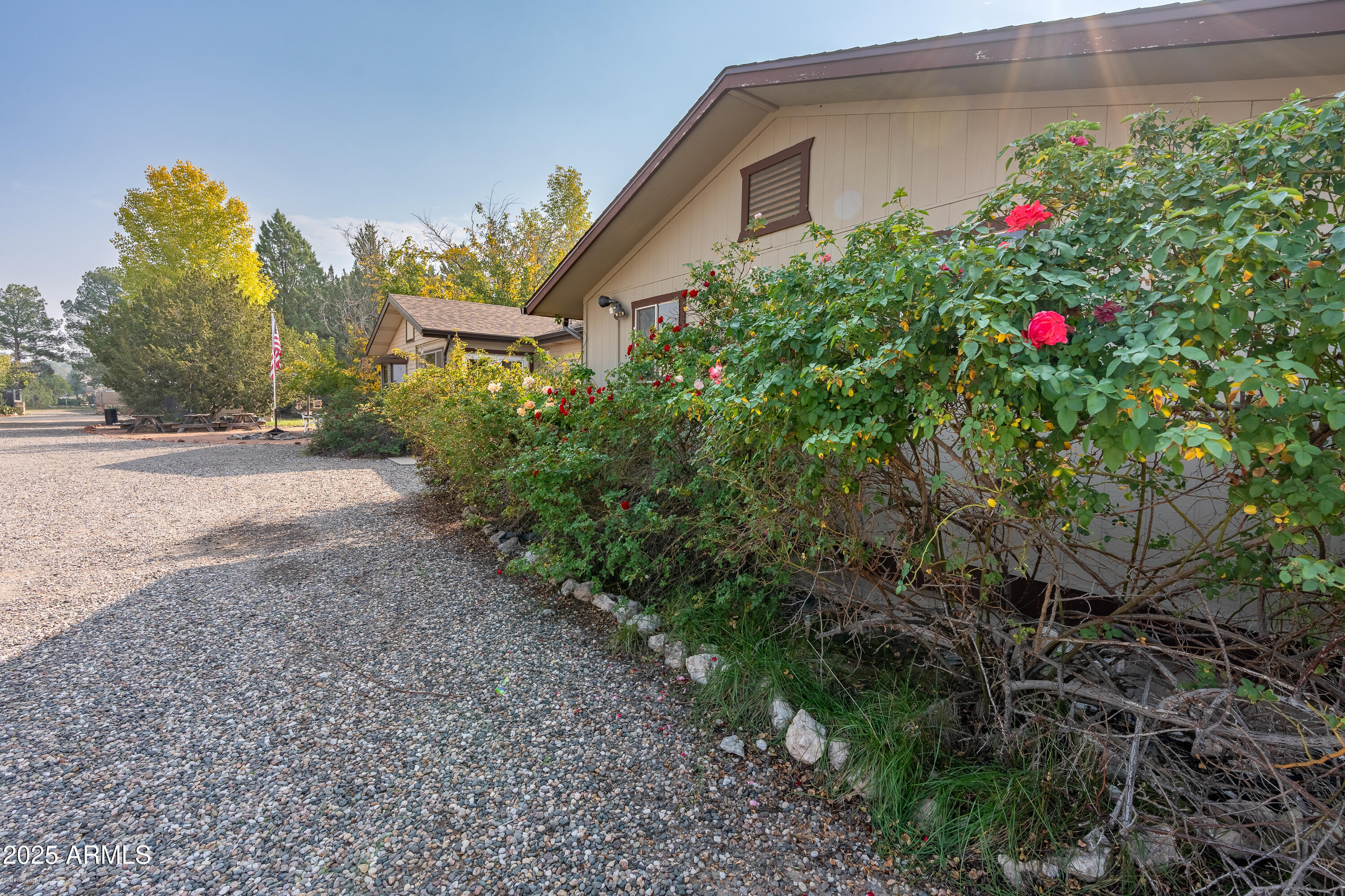 3510 East Maybe Manana Way Rimrock, AZ 86335 - Photo 24 of 36 a flower plants sitting in front of a house