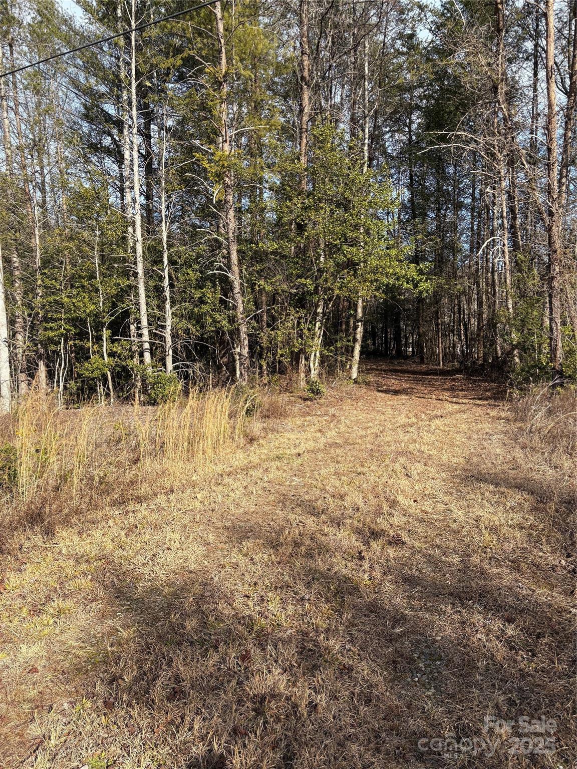 4570 Gwaltney Road Morganton, NC 28655 - Photo 4 of 8 Gallery Image 4