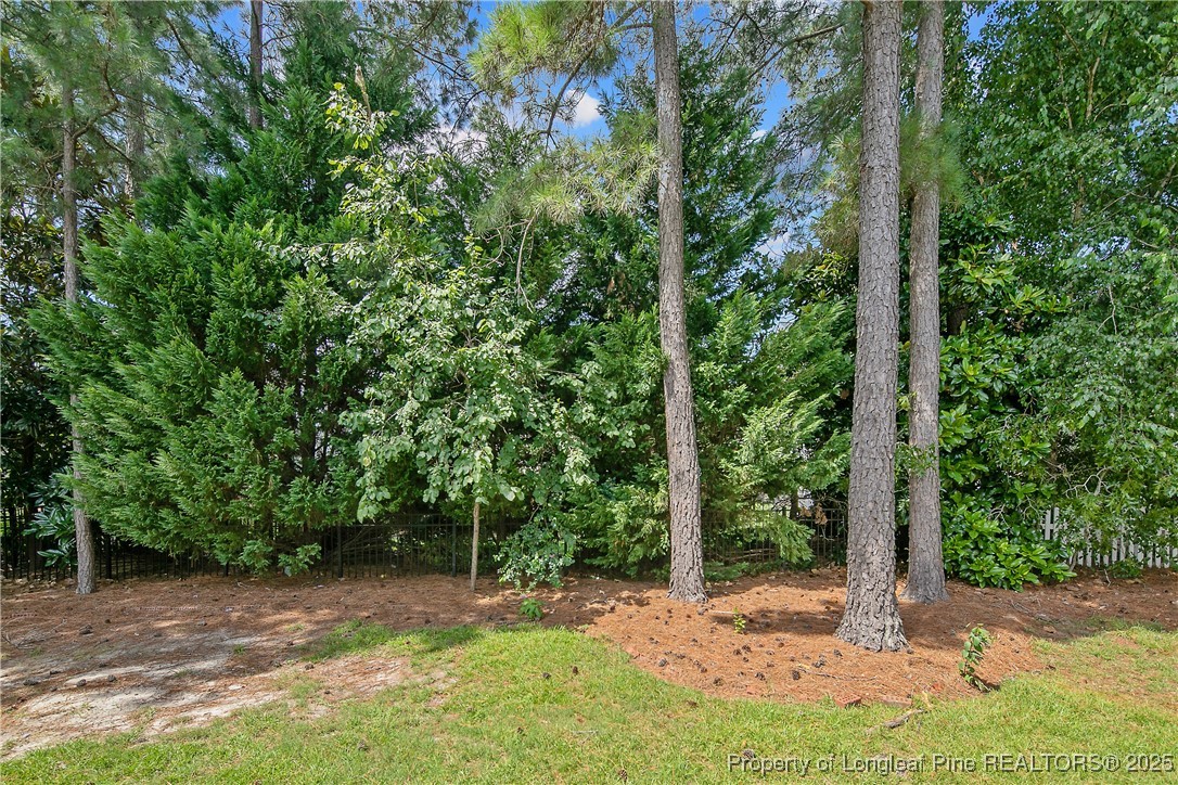 177 Lamplighter Way Spring Lake, NC 28390 - Photo 43 of 50