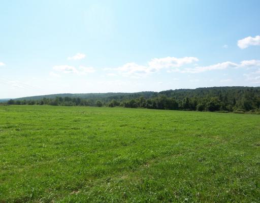 0 Osborne Road Farmington, ME 04938 - Photo 3 of 5 Land/Lot.