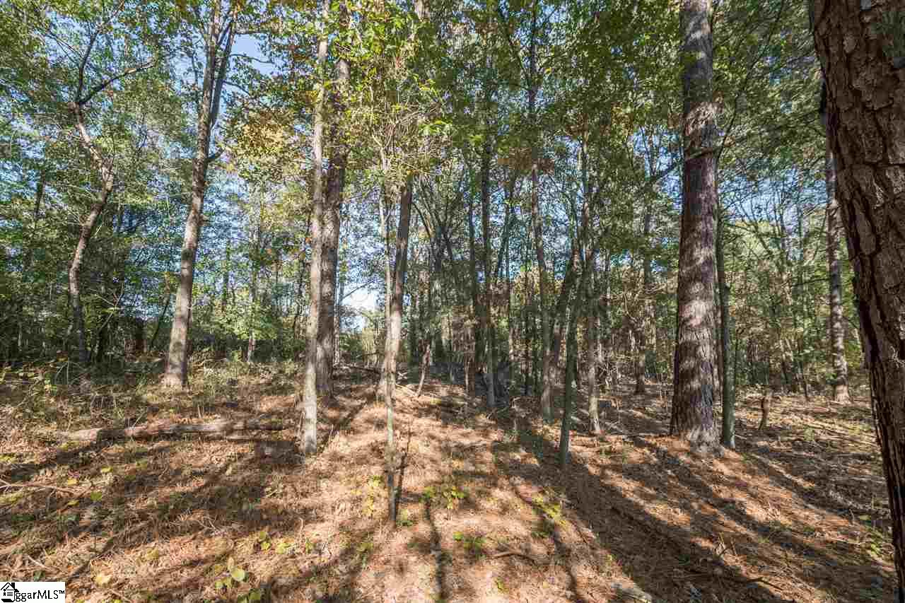 St Paul Road Easley, SC 29642 - Photo 2 of 16