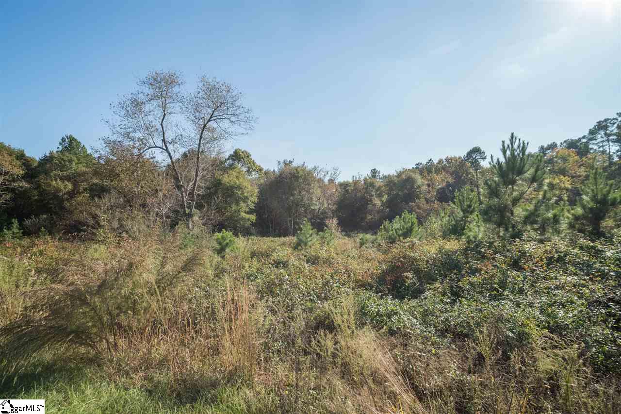 St Paul Road Easley, SC 29642 - Photo 3 of 16