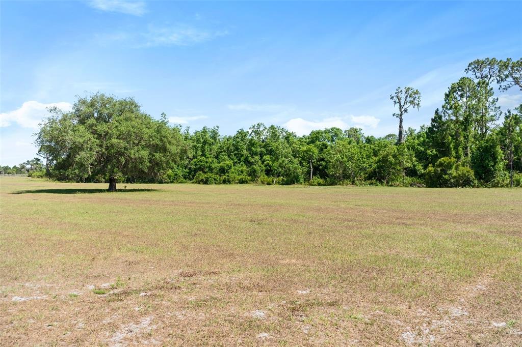 1980 Lake Buffum Road Fort Meade, FL 33841 - Photo 58 of 64 Gallery Image 58