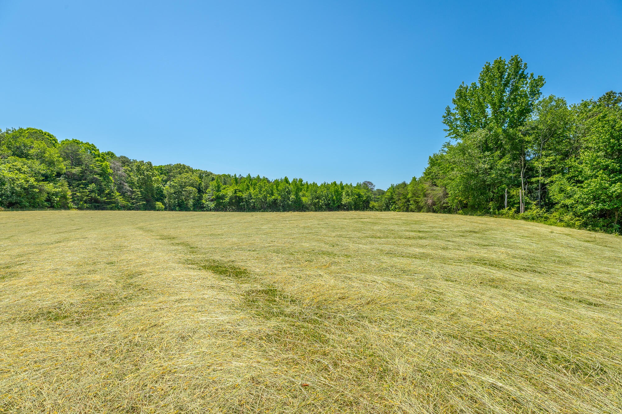 1655 West Cove Road Chickamauga, GA 30707 - Photo 35 of 62 Gallery Image 35