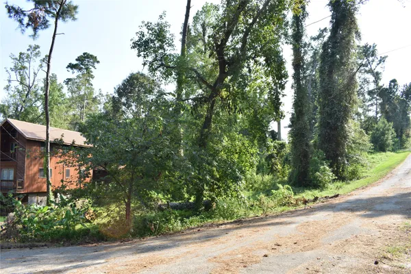 a view of a street with a tree