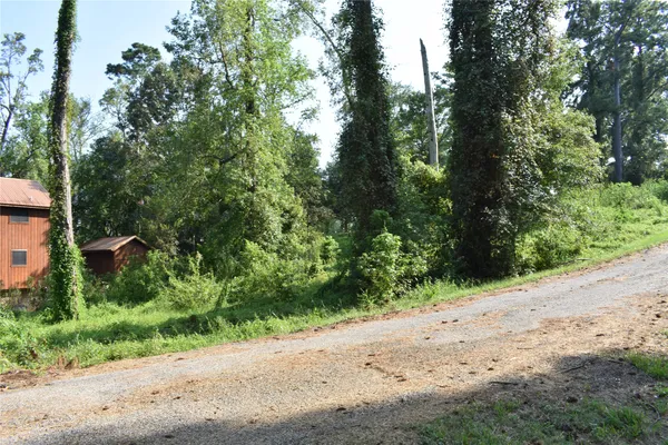 a view of a road with a trees