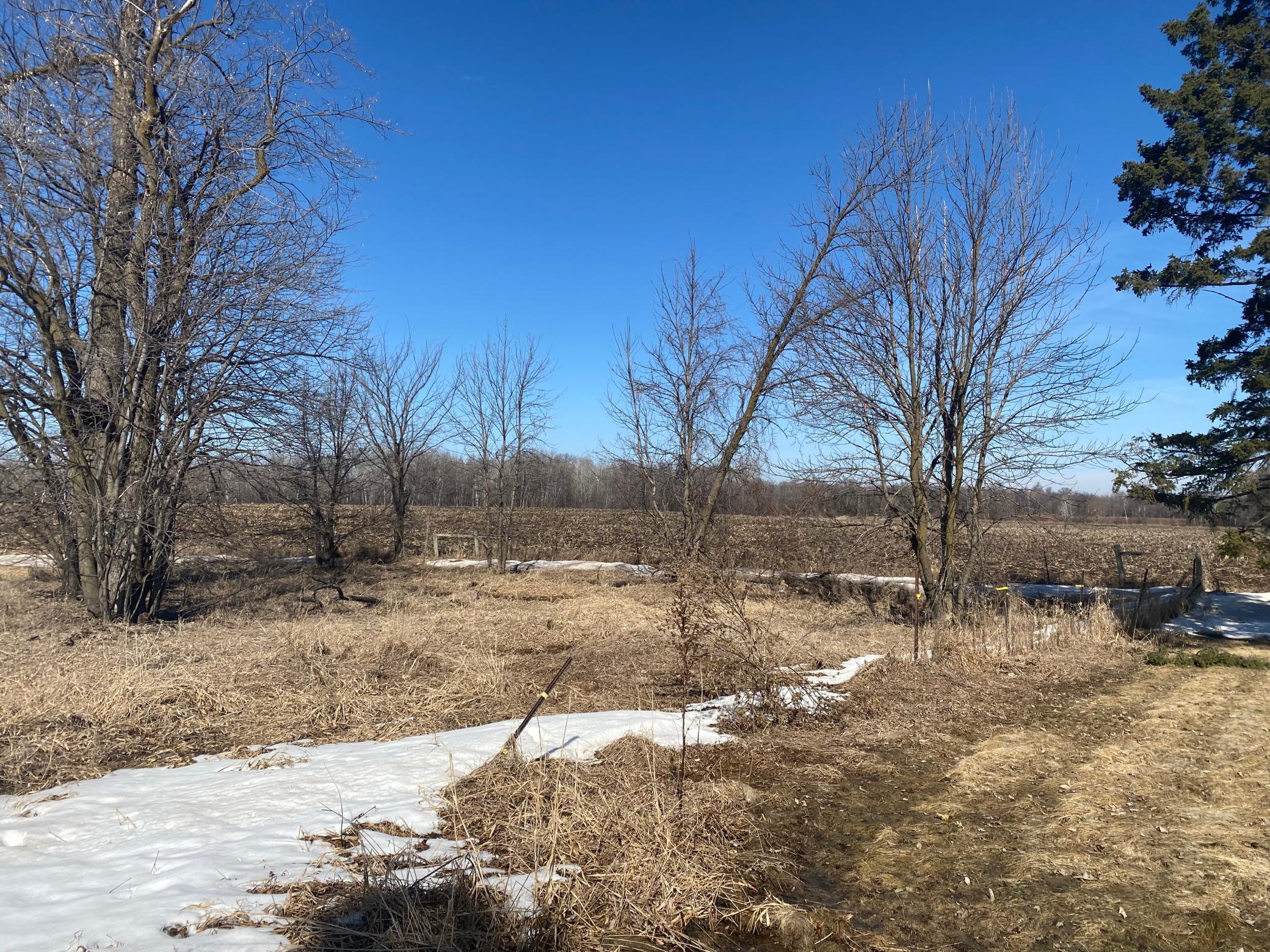 18890 55th Street Northeast Foley, MN 56357 - Photo 8 of 29