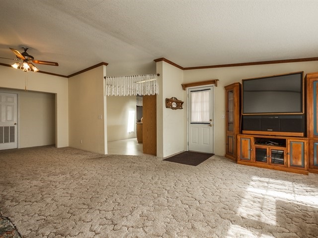 601 East Cameron Road Spangle, WA 99031 - Photo 3 of 20