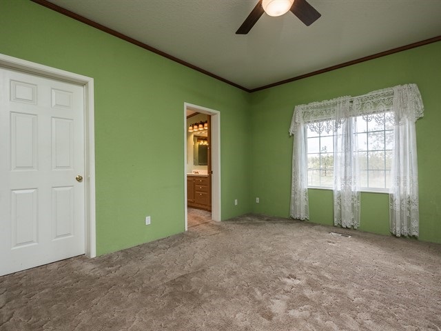 601 East Cameron Road Spangle, WA 99031 - Photo 8 of 20