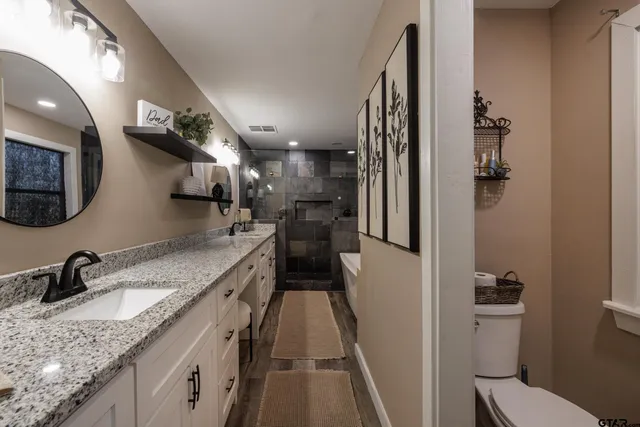 a bathroom with a granite countertop sink a toilet and a mirror