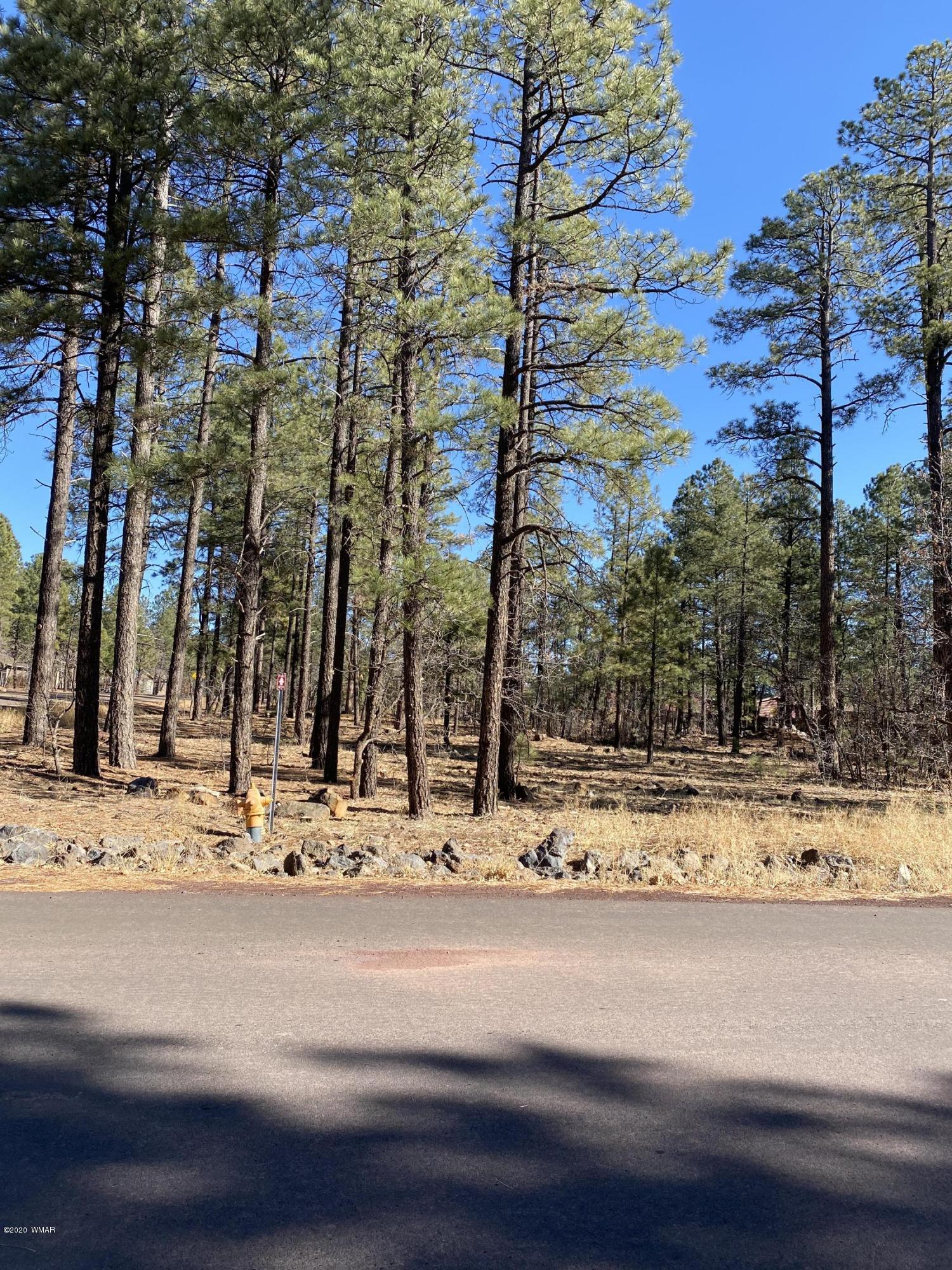 5757 Buck Springs Road Pinetop, AZ 85935 - Photo 2 of 2