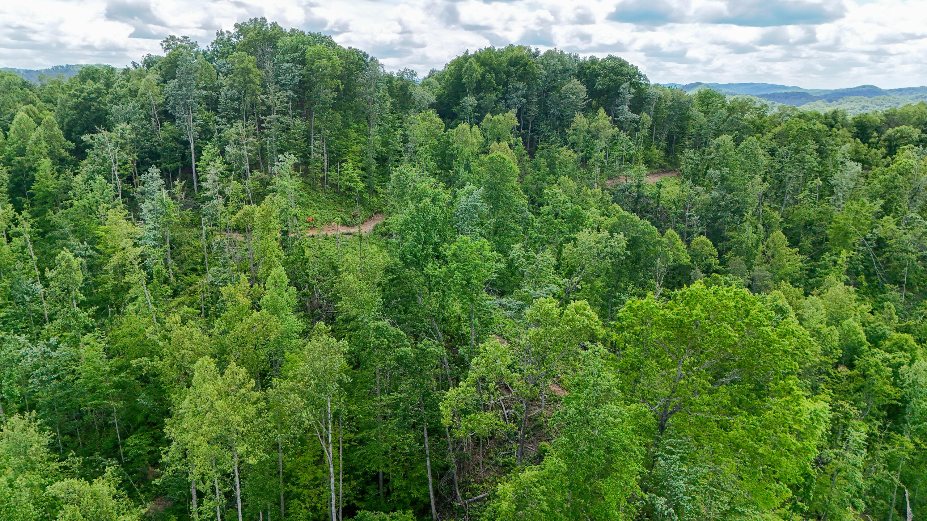 0 Amy Branch Road Essie, KY 40827 - Photo 14 of 19 LightroomRealEstateEdits-11