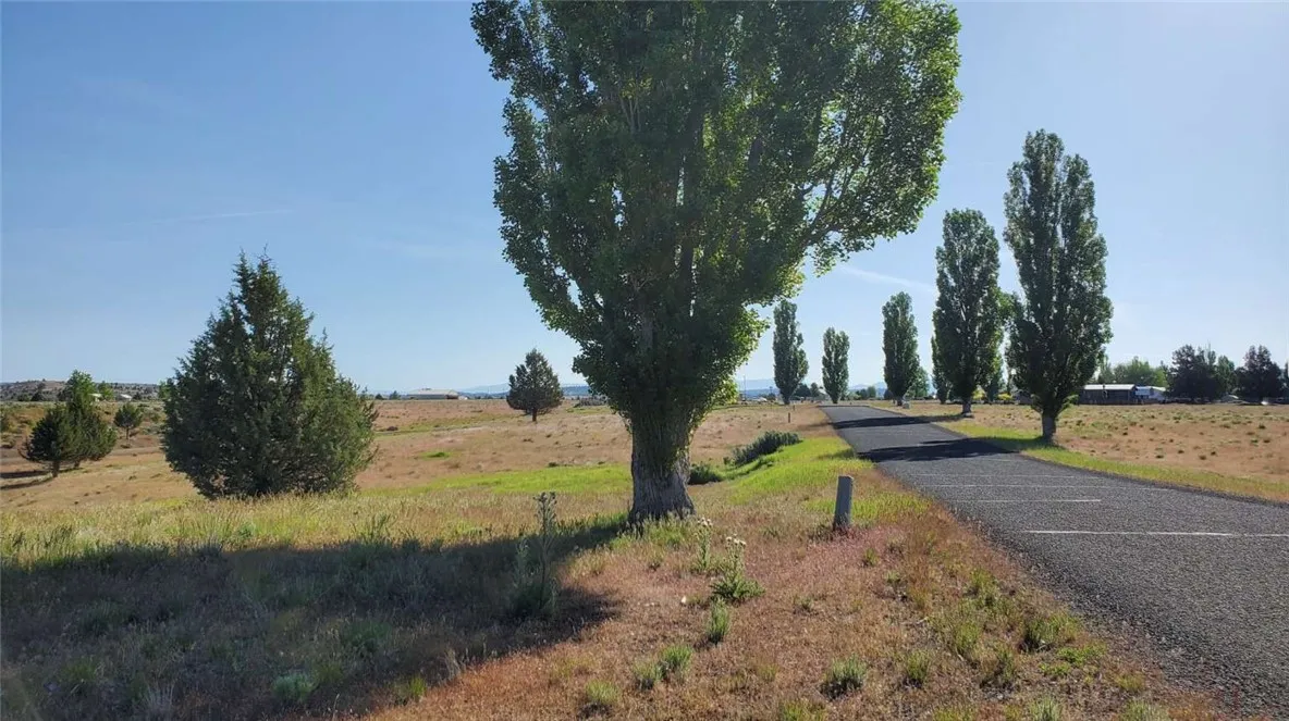 0 Shasta View Drive Alturas, CA 96101 - Photo 15 of 26 a view of yard with tree in back